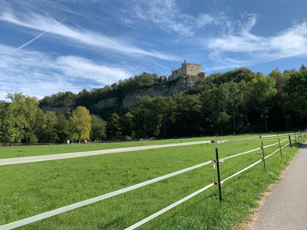 Hotel Garni Zum Rebstock Naumburg Kültér fotó