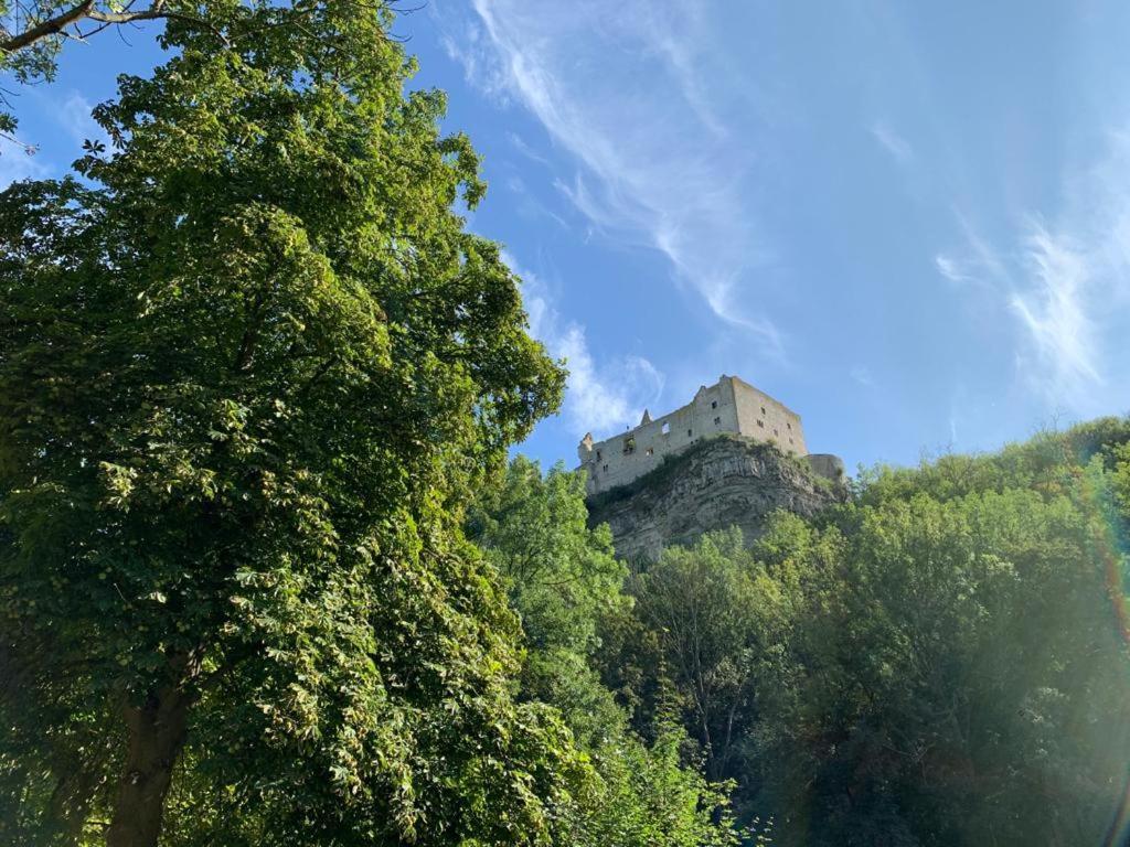 Hotel Garni Zum Rebstock Naumburg Kültér fotó