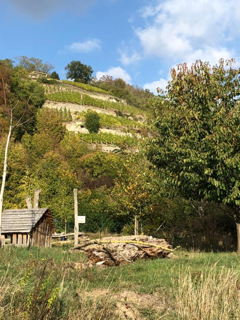 Hotel Garni Zum Rebstock Naumburg Kültér fotó