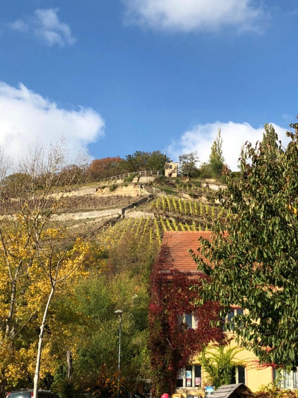 Hotel Garni Zum Rebstock Naumburg Kültér fotó